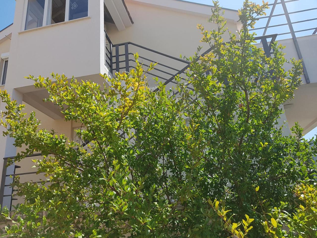 Apartments Maria Ivanica Экстерьер фото